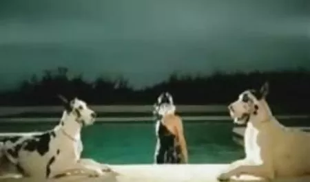 Lesbians caress each other's pee