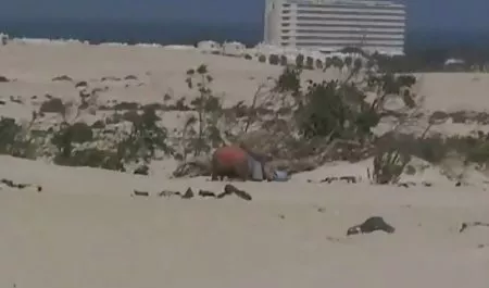 Busty luxury girl rides on penis cartoon lover