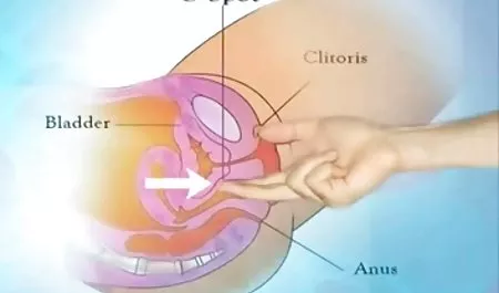 Webcam model showed elastic butt on camera