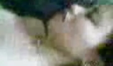 Fat mom seduces her son