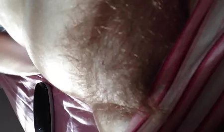 A Cheka with big buffers is barking at a pregnant chick