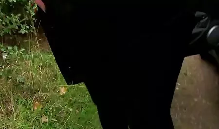 Man accidentally cumshot inside the vagina blonde