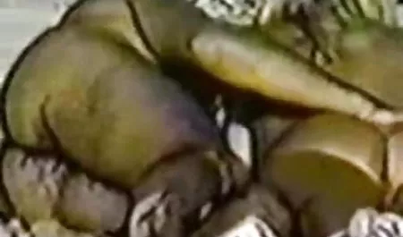 Married Milfa let in Circle friends with whom she went to nature