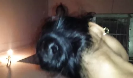 Girl transvestite smacking girlfriend