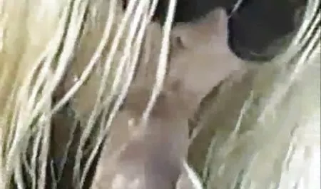 Gang bang with a cute speck of Lucy