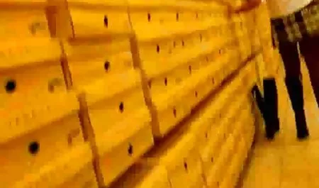 Charming Celeste Star fucks herself with a toy